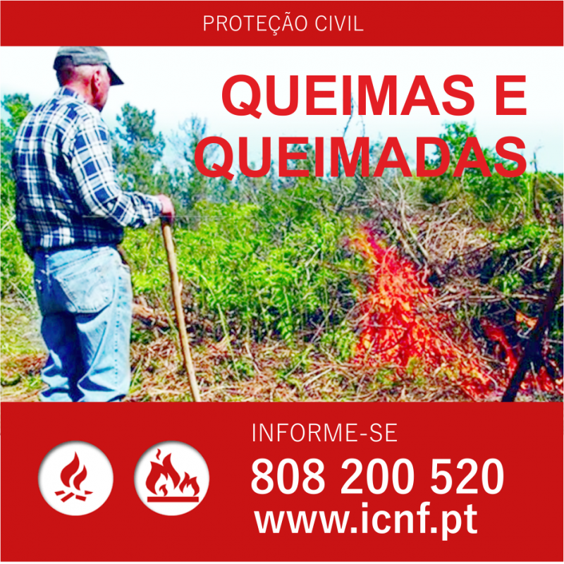 texto